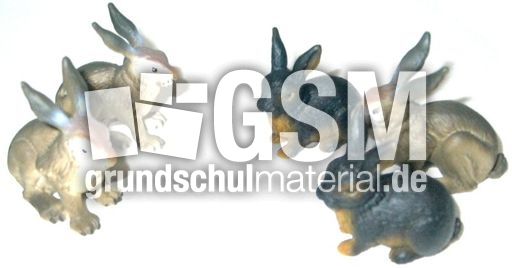 Hasen2+3.jpg